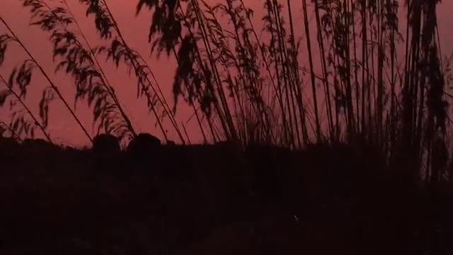 Most Beautiful Sunset 109