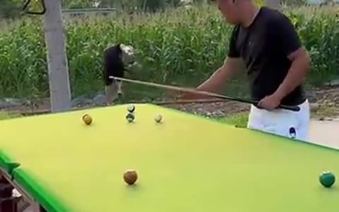 Funny Billiards Video