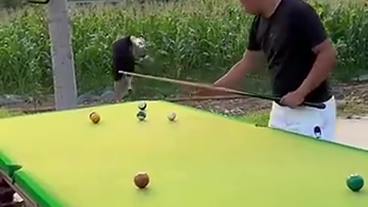 Funny Billiards Video