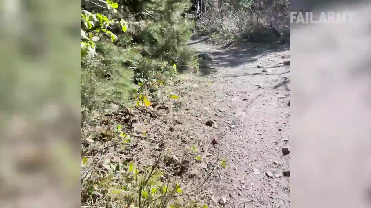 Damn Nature You Scary | Funny Scary Animal Encounters