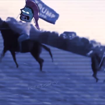 Frogs what is your profession?!