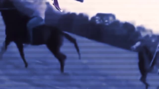 Frogs what is your profession?!