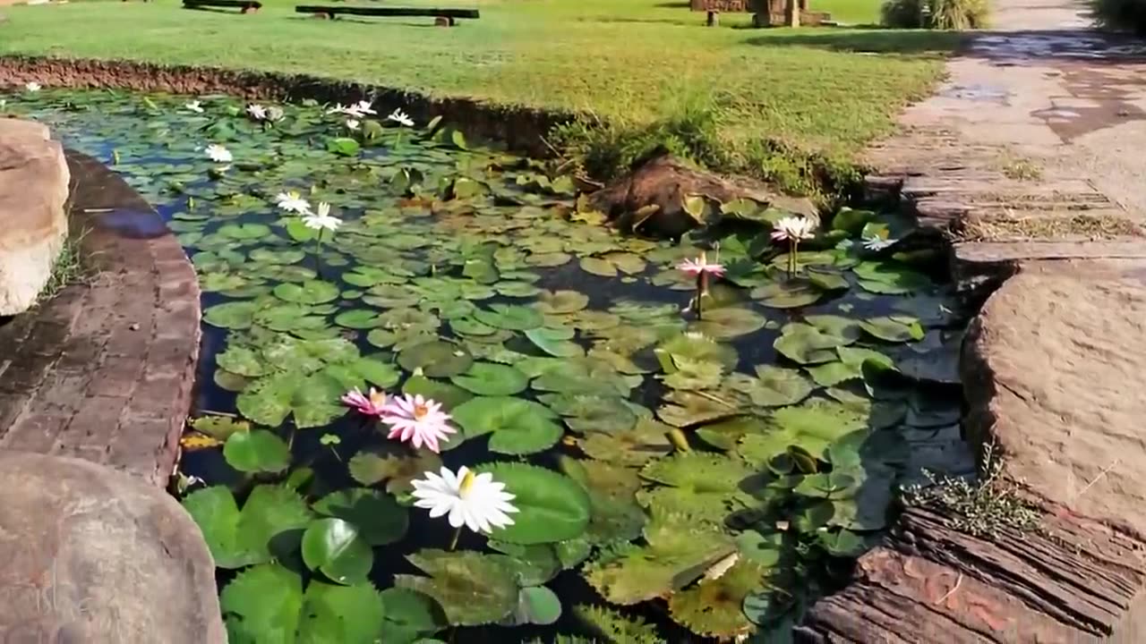 Meditation music best for stress relief