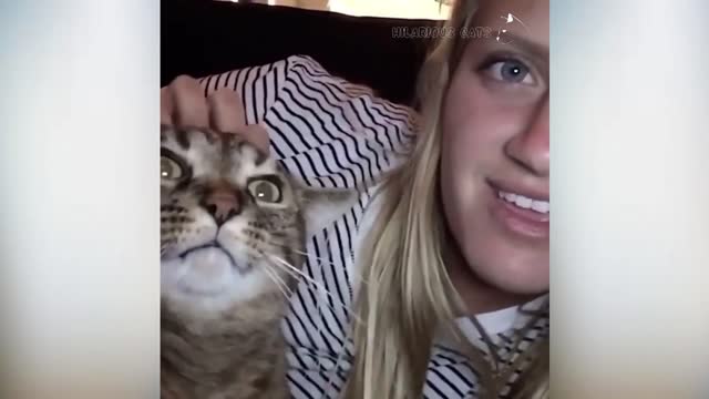 Cat Eyeballs Were So Huge!