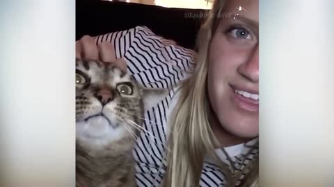 Cat Eyeballs Were So Huge!