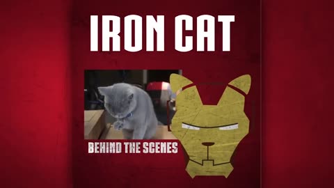 Iron Cat😎👍🏾