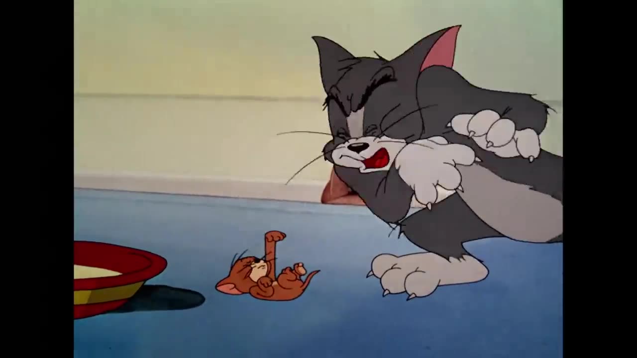 Tom and jerry cartoon