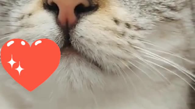 You have some eyes that make me fall in love with