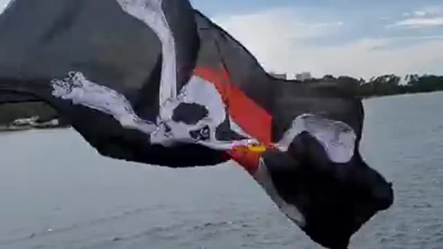 The Flag That Flies On The Sea Dragon