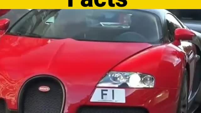 Top 10 amazing facts