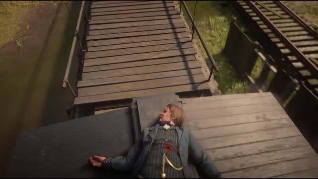 Red Dead Redemption 2 Camera Gallery (2018-2019)
