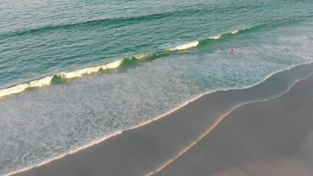 Beautiful nature video