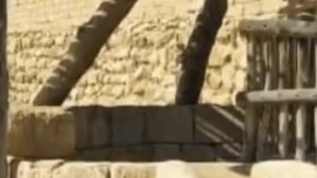 O templo zero
