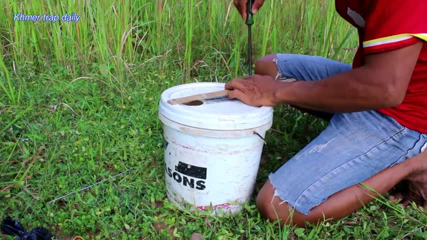 Simple Wild Cat Trap - Wild Cat Trap Using Plastic container