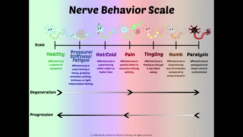 Is My Nerve Pain Worse... or Better? | The Nerve Behavior Scale