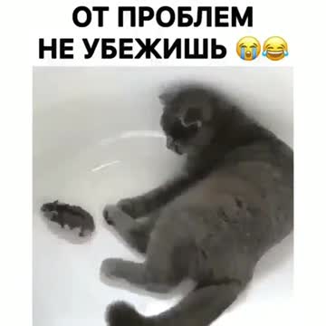 Trying is not torture)