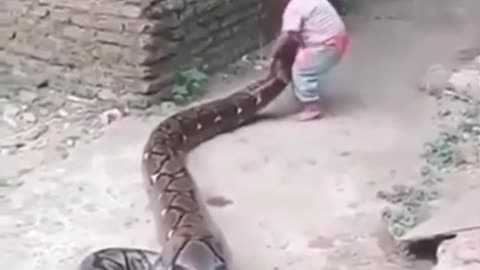 Baby play with snake