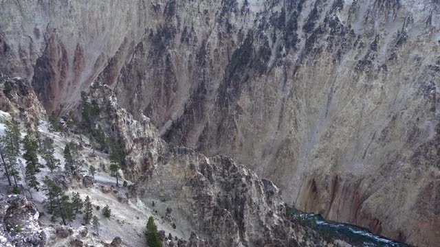 Amazing Nature