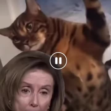 Putin Is Trying To Bait The Trap