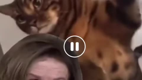 Putin Is Trying To Bait The Trap