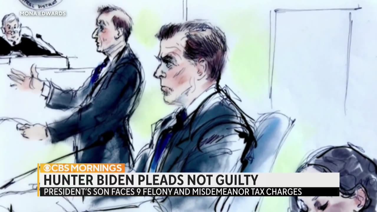 Hunter Biden pleaded not guilty to nine federal tax charges on Thursday.