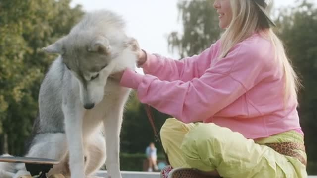 woman feeding a dog