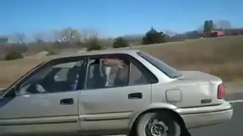 THIS IS ENTERTAINMENT VIDEO funny There's a horse in that car