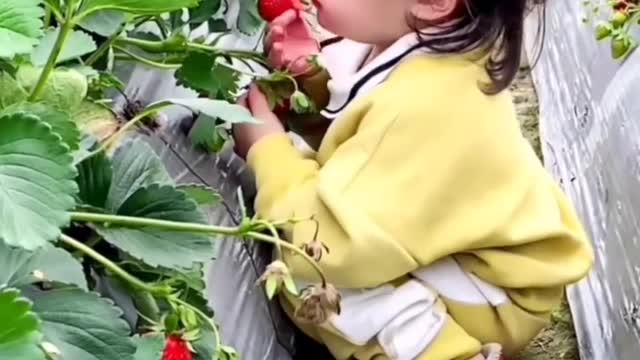 Baby eating from the seeds | Baby hungry | Watch Short reel | Funny Video