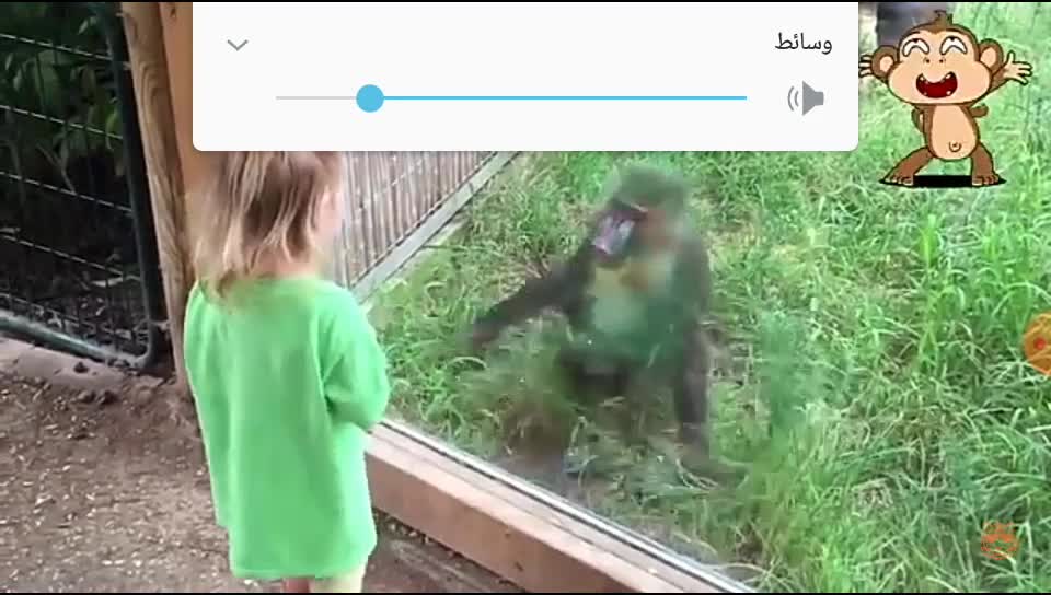 The best funny videos that will die laughing funny animals 😁😂😃😄😅😆