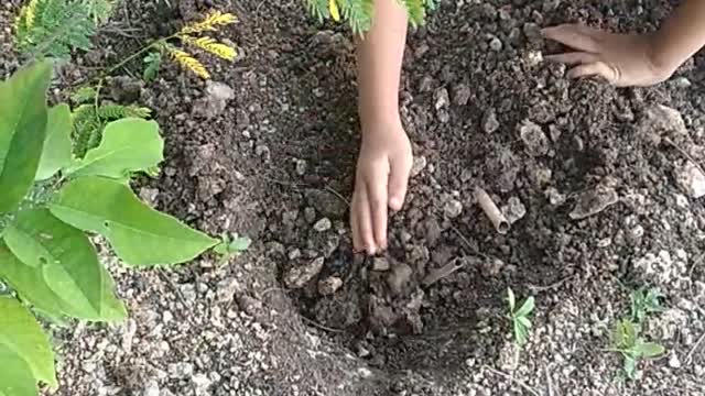 Youngest Farmer in the Philippines