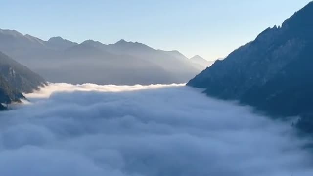 imagine taking a nap in this floof☁️