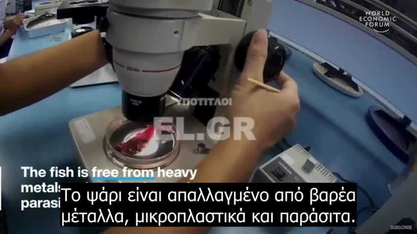 Το WEF λέει ότι πρέπει να τρώμε κρέας εργαστηρίου ή εκτυπωμένο για να σώσουμε τον πλανήτη