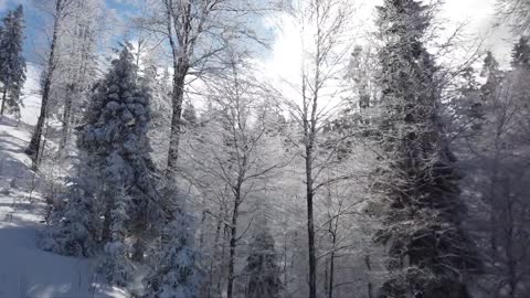 Beautiful Nature (Snow)