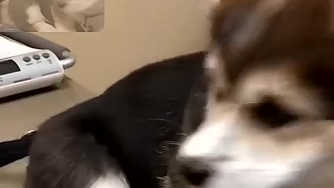 To see what
