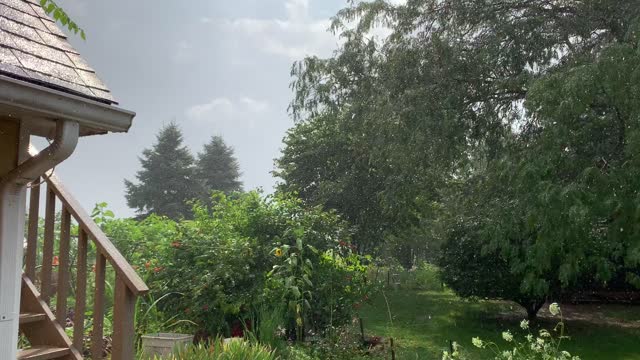 A Storm Passing at Dublin Flower Farm