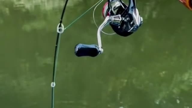 Tarikan 🐠🐋🐟ikan