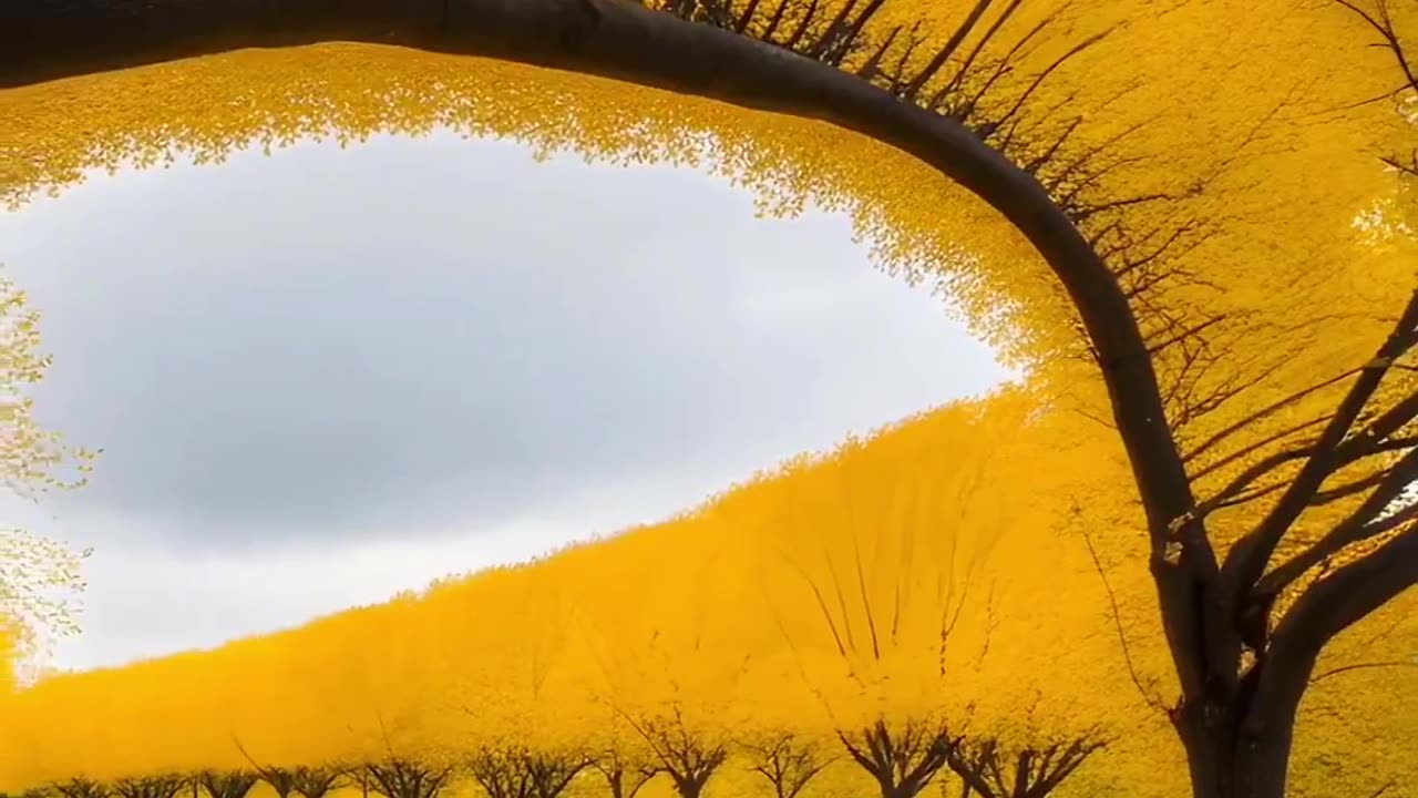 Places On Earth That Don't Feel Real