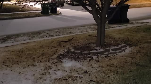 "Snow" in Texas