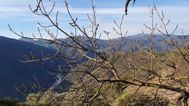 View of the terre in nature