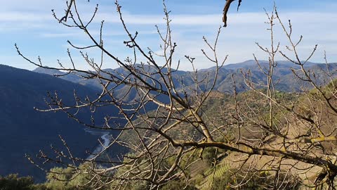 View of the terre in nature