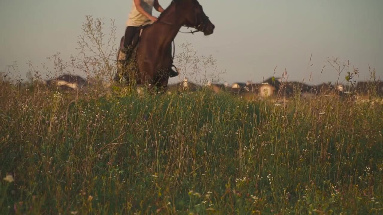 Girl is riding a horse