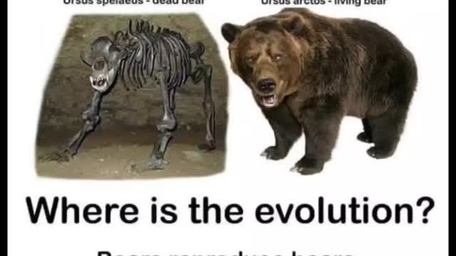 Evolution does not exist