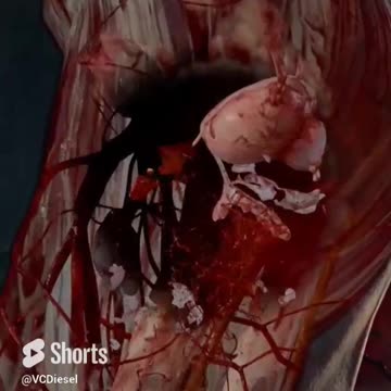 Got Em Testicle Shot