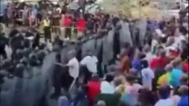 Police dogs doing well in stopping protesters