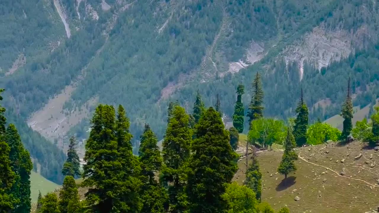 Nature's
