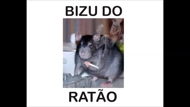 Bizu do Ratão 01 Aparência é tudo, Morte do amigo