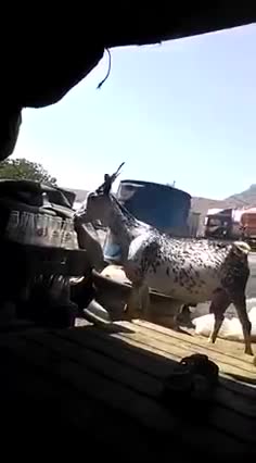 Thursday are for chilling! 😂🤣😂🤣😂🤣😂🤣