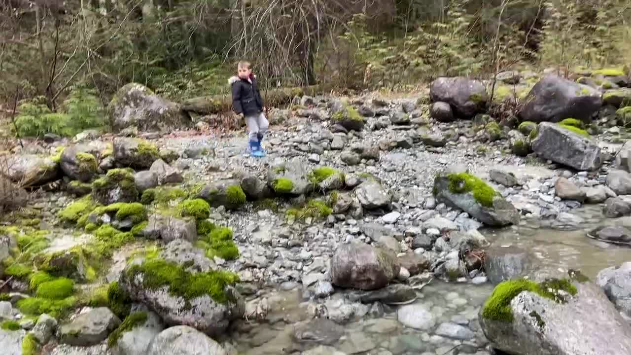 Relaxing nature walk sounds of river sound of the wild