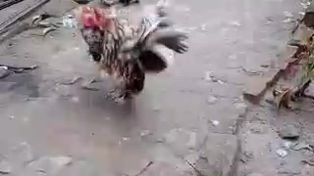 NICE a video