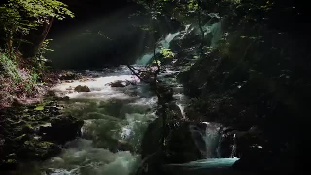 Jungle Waterfall 4k _ Water Sounds Nature Meditation